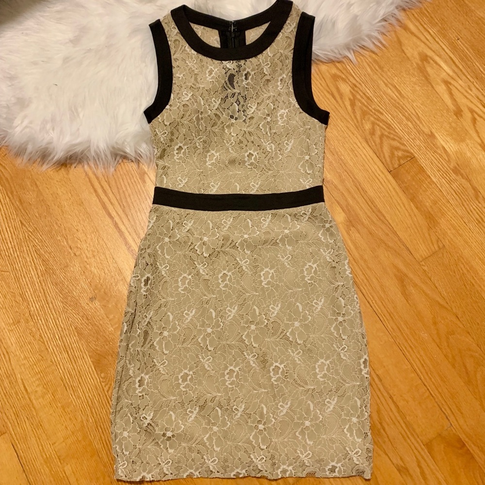 Max & Cleo lace dress